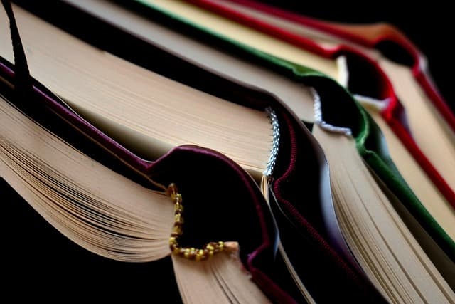 Les différents types de formations professionnelles à connaître